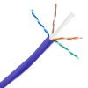 PURPLE CAT6 UTP Network Cable